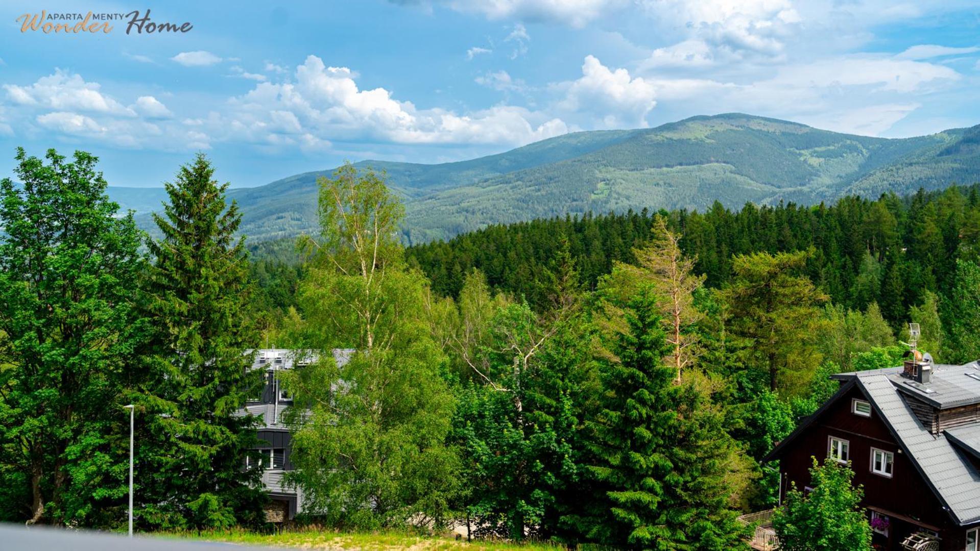 Wonder Home - Orlik Residence - Apartamenty Z Widokiem Na Sniezke, Blisko Wyciagow, Ski Arena I Kosciolka Wang 카르파츠 외부 사진
