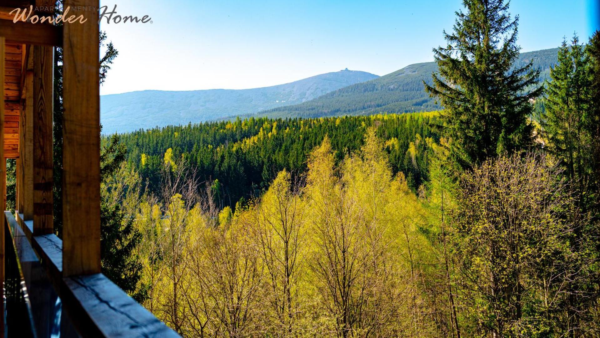 Wonder Home - Orlik Residence - Apartamenty Z Widokiem Na Sniezke, Blisko Wyciagow, Ski Arena I Kosciolka Wang 카르파츠 외부 사진